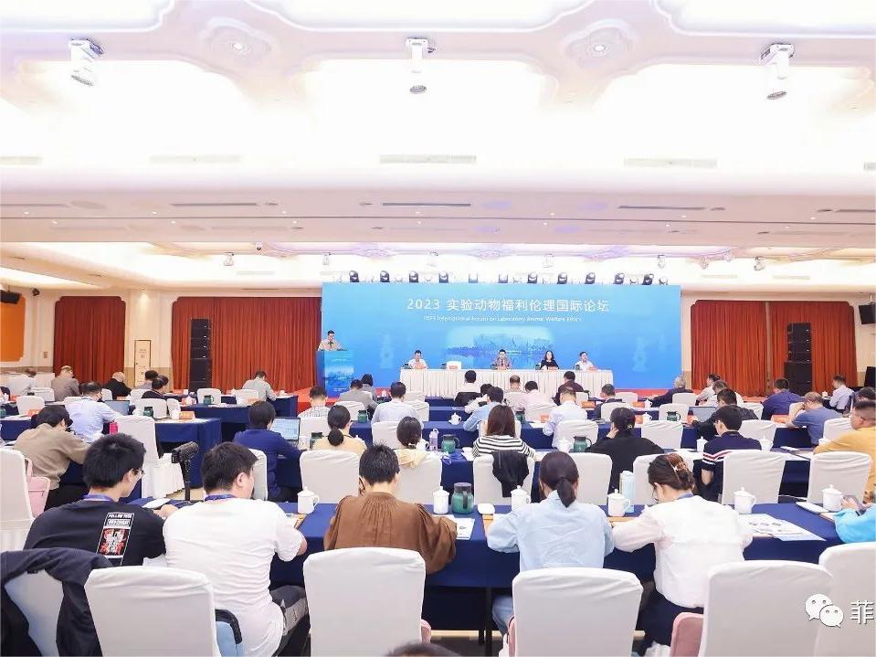 e330aa8308433bf5954e4fc716d77a08