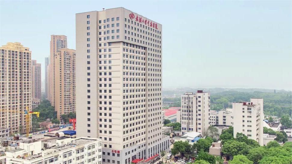 344f57762e116c7ed49661ff86f01790